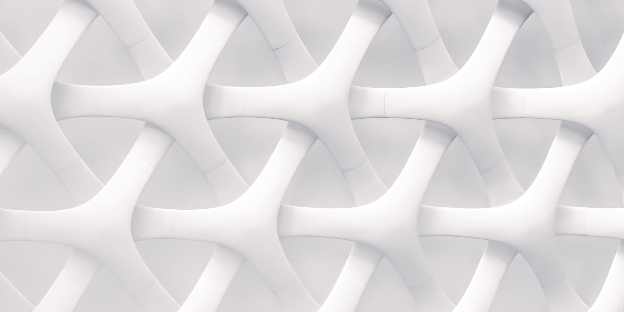 Cover Image for Privacy Policy